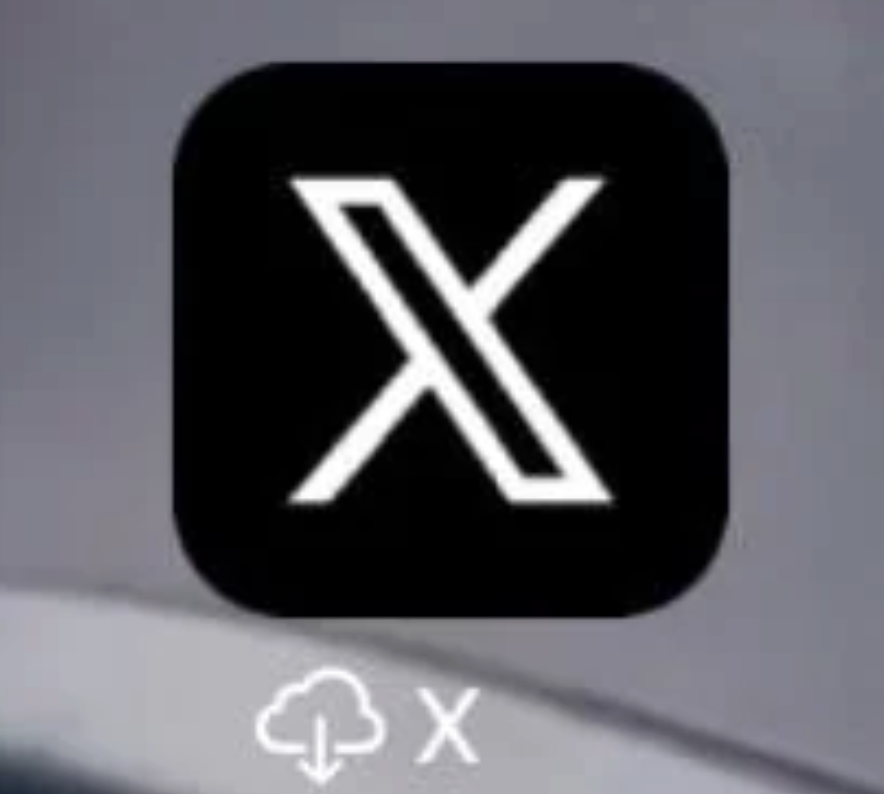 TikTok Official App Partially Installed on iOS